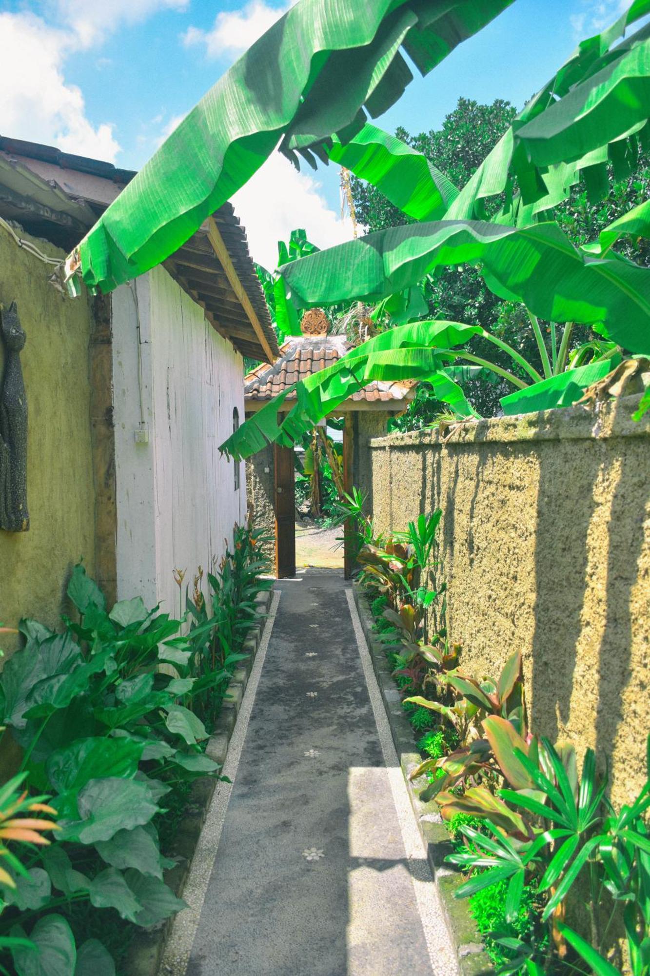 Ume Sita Villa And Homestay Убуд Экстерьер фото